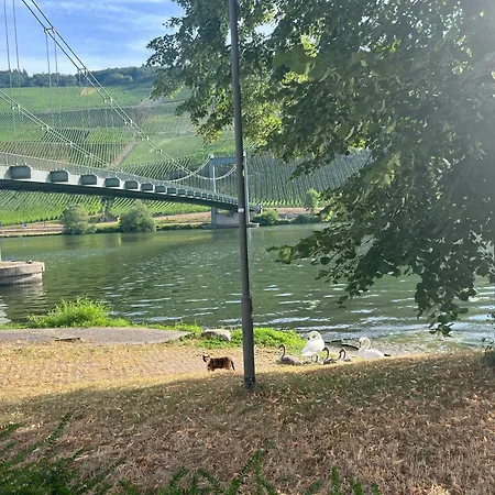 Lägenhet 4 Bernkastel-Kues